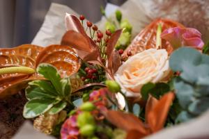 360-Dental-avamine-Foto-GoodNews-Evelin-Kruus-147