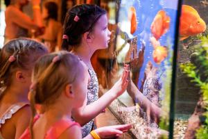 Mustamae-Elamus-Spa-Foto-Evelin-Kruus-093