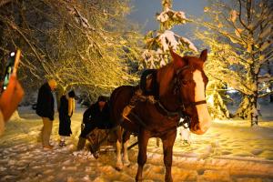 Parna-talu-Foto-Evelin-Kruus-70