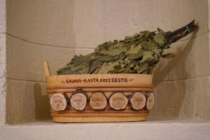 Elamus-Spa-Kalma-saunale-tiitlit-ule-andmas-Foto-GoodNews-Evelin-Kruus-006