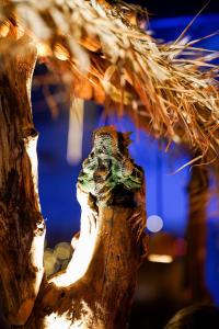 Elamus-Spa-Foto-GoodNews-Evelin-Kruus-63