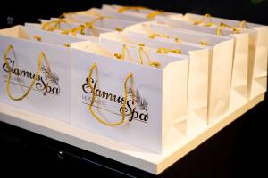 Maiwistiku-tootuba-Elamus-Spas-Foto-GoodNews-Evelin-Kruus-03