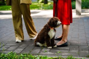 Digikuvand-suvel-Foto-GoodNews-Evelin-Kruus-09