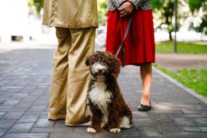 Digikuvand-suvel-Foto-GoodNews-Evelin-Kruus-28