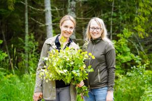 Saunavihtade-tegemine-Foto-GoodNews-Evelin-Kruus-094