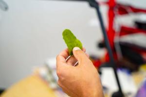 Mai-Liis-Kivistik-Star-FMis-Foto-GoodNews-Evelin-Kruus-25