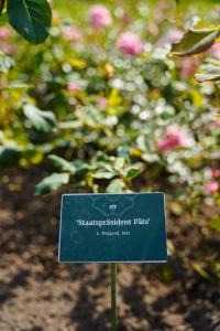 Puuduta-mind-saate-salvestus-Foto-GoodNews-Evelin-Kruus-001