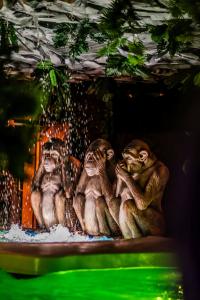 Elamus-Spa-lasteala-Foto-Karen-Harms-002